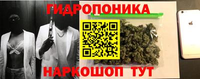 спиды Аргун