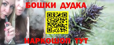 крисы Апшеронск
