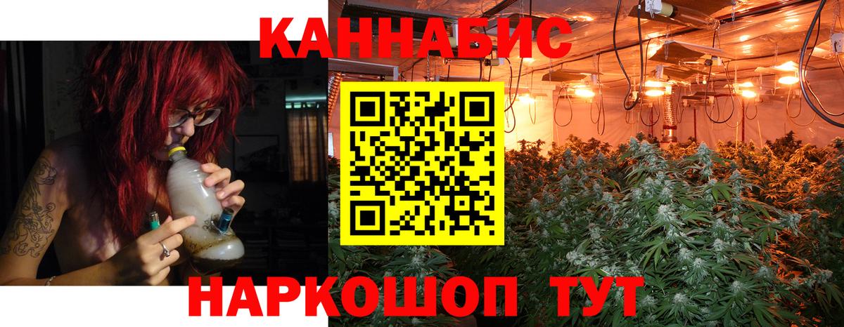 Конопля план Вольск
